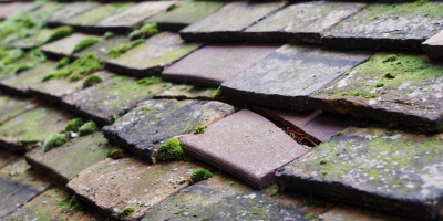 Cranfield roof repair costs